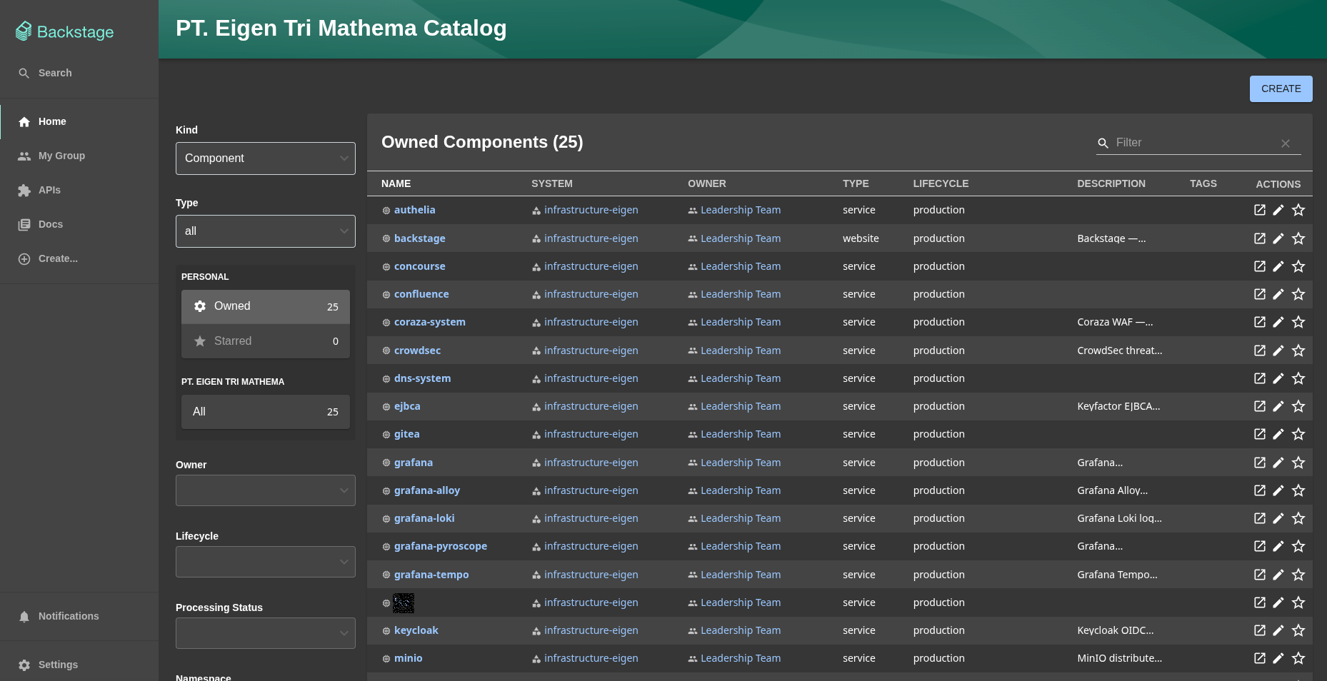Developer Portal & Central Documentation — Platform Engineering